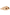 PD Flat Sandals – UK Sizes 3–9 – Just £7 | Authentic Overstock Products