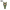 Funko Soda - My Hero Academia - Tsuyu Asui - International LE12500Pcs - Chance Of Chase